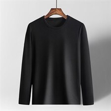 T恤潮流时尚男装商务休闲新款长袖上衣薄款圆领秋季男士爸爸装，男装T恤，电商B212（原钱塘6029）