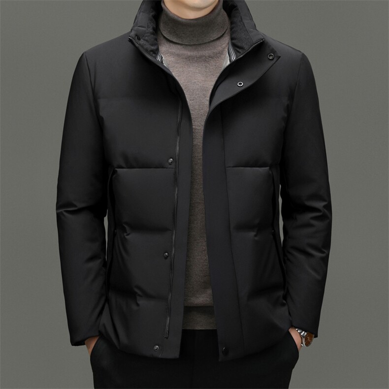 DF2380钱塘2020-2冬季新款厚款时尚休闲立领中年男士羽绒服P275,男装羽绒服,钱塘207-2