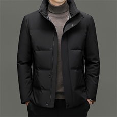 DF2380钱塘2020-2冬季新款厚款时尚休闲立领中年男士羽绒服P275，男装羽绒服，钱塘207-2