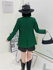 蓝典28009，其它，蓝典