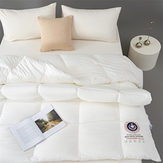 秋冬新品-A类仿鹅绒抗菌冬被子被芯，被套/被芯，一起卖家纺