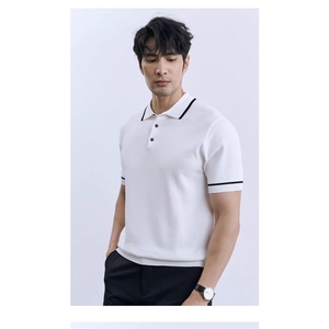 夏季休闲POLO衫男士英伦轻熟半袖针织透气翻领T恤A3662-P45图片