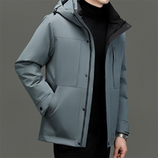 BZC2366钱塘2020-2新款时尚休闲简约冬季厚款中年男士羽绒服P240，男装羽绒服，钱塘207-2