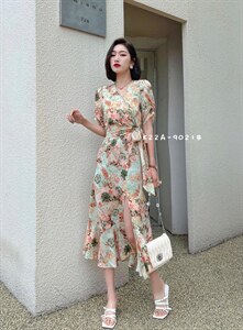 斯瑞威图片