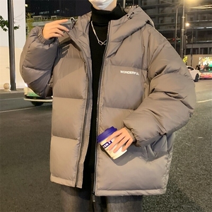 83025-P198控298港风连帽羽绒服男款简约设计感外套户外防寒保暖图片