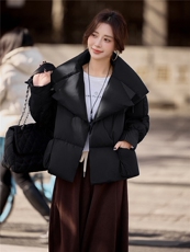 水衣源2319款短款大翻领加厚时尚羽绒服冬季保暖外套女，女装羽绒服，水衣源
