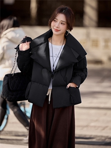 水衣源2319款短款大翻领加厚时尚羽绒服冬季保暖外套女图片