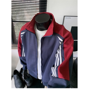 重磅boxy全棉500克拉链立领卫衣短宽加绒奥粒绒外套 RH5362JR-P65图片