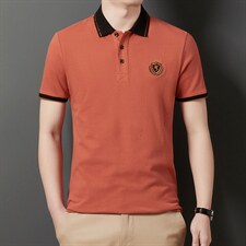 POLO衫男士短袖t恤翻领2023夏季新款潮牌休闲商务男装上衣,男装T恤,电商B212（原钱塘6029）