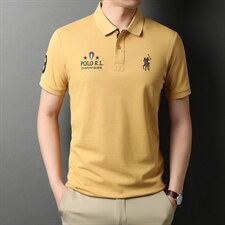 短袖男士T恤2023夏季新款翻领宽松时尚潮流百搭休闲男装上衣，男装T恤，电商B212（原钱塘6029）