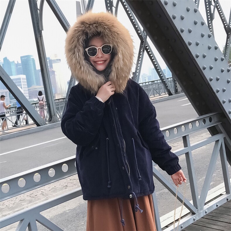 大货已出韩版连帽纯棉加厚棉衣仿毛领8818-P160控230,女装棉衣/棉服,浙宝229