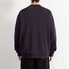 W25222-特P55春秋时尚休闲卫衣男打底衫，男装卫衣，电商D310B
