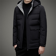 BAMJ-8995钱塘2020-2商务休闲冬季厚款中年男士简约他羽绒服P200，男装羽绒服，钱塘207-2