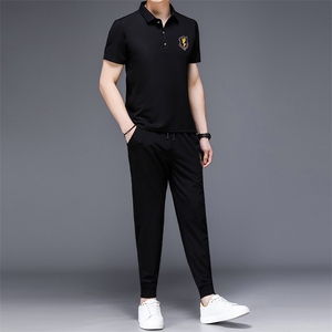 短袖套装男2023夏季新款休闲运动两件套T恤套装中年男士搭配衣服图片