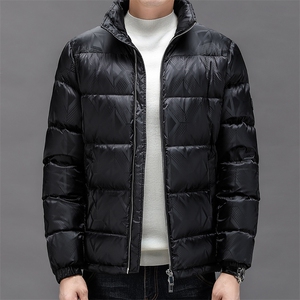 2024年新款男士羽绒服P295图片