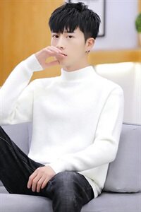 家乐6805秋冬季纯色半高领毛衣男士韩版宽松潮流个性毛线图片