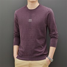 BAMJ-302钱塘2020-2春秋新款长袖薄款中青年男士打底衫毛衣P53，男装针织衫/毛衣，钱塘207-2