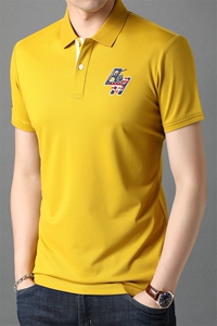 多彩十色 2021夏季男士新款短袖T恤简约商务休闲polo衫 B8802 P60图片