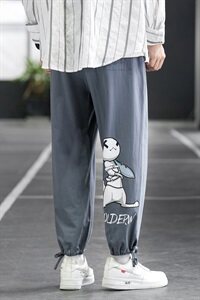 秋季裤子男休闲裤韩版潮流宽松百搭束脚裤九分裤潮牌DS911T图片