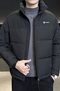 标50绒2025冬季基础跑量新款男士立领时尚潮流白鸭绒羽绒服夹克图片