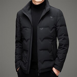 BAMJ-2175钱塘2020-2秋冬季厚款羽绒服中年男士休闲简约外套P288图片