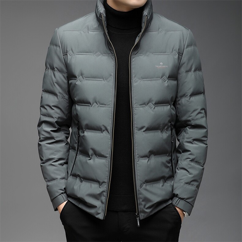 DW21120冬季男士羽绒服外套男装立领修身白鸭绒潮流帅气P229，男装羽绒服，电商B360