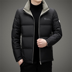 V2359钱塘2020-3秋冬新款男士立领羽绒服保暖休闲外套货稳P210，男装羽绒服，钱塘207-3
