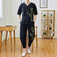 风短袖t恤男宽松大码男棉麻夏季潮流两件套亚麻套装TZ96，男装T恤，星座509