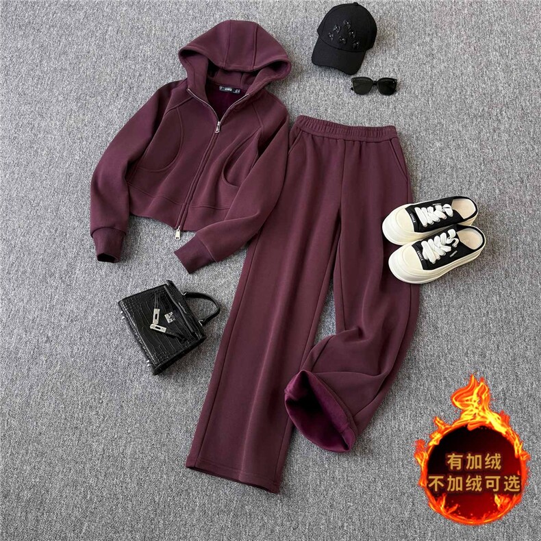 简约时尚休闲运动套装女秋冬款气质减龄拉链连帽卫衣直筒裤两件套图片