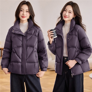 现货简约通勤2025年冬季白鸭绒羽绒服图片