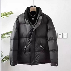 (网图)男士时尚百搭舒适透气高级保暖加厚羽绒服313B-A5812-P220，男装羽绒服，星座313B