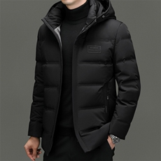 DF8893钱塘2020-2新款时尚休闲有帽简约中年男士羽绒服P260，男装羽绒服，钱塘207-2