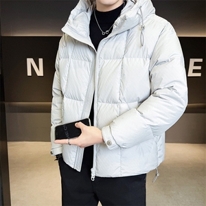 店主风 2025新标90白鸭连帽面包服短款羽绒服男LMS2503-P330图片