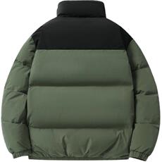 新标90%白鸭绒简约休闲拼色立领外套纯色羽绒服ESY0206-P210，男装羽绒服，电商B306