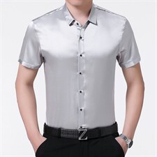 2023夏季新款纯色衬衫男短袖免烫商务休闲衬衣男装衬衫外套，男装衬衫，电商B212（原钱塘6029）