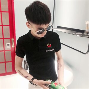 夏季短袖POLO衫社会小伙快手网红男半袖刺绣T恤C301B-PL06-P40图片