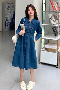 韩版复古牛仔连衣裙女2025年春秋季新款设计感收腰显瘦气质A字裙图片