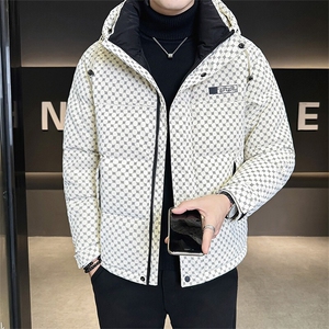标50绒 店主风冬季连帽字母皮羽绒服男外套8873-P215 控券后288图片