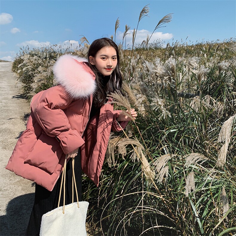 大货双十一主推款2020新款短款面包服L222,女装棉衣/棉服,时倾STUDIO