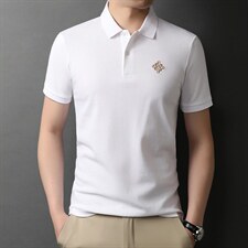 夏季新款男士翻领短袖t恤中年有领男装上衣服休闲POLO衫，男装T恤，电商B212（原钱塘6029）