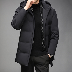 AN9816钱塘2020-2秋冬新款中长款男士羽绒服时尚休闲连帽外套P279图片