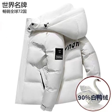 2025冬季新款90白鸭绒连帽休闲羽绒服男外套备货充足R9021-P150，男装羽绒服，星座301D(原星座1004-8）