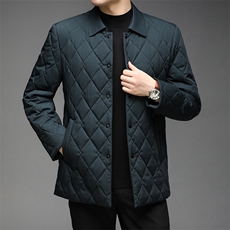 冬季外套男棉衣中年商务翻领棉服休闲上衣爸爸装棉袄HPN2187-P200，男装棉衣，电商B212（原钱塘6029）