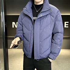 90%标白鸭绒2025冬季立领休闲短款加厚羽绒服外套M8752-P290，男装羽绒服，电商A413