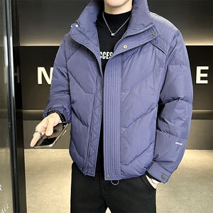 90%标白鸭绒2025冬季立领休闲短款加厚羽绒服外套M8752-P290