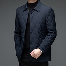 冬季翻领商务休闲棉衣中年男士加厚保暖棉服爸爸装2023新款外套，男装棉衣，电商B212（原钱塘6029）