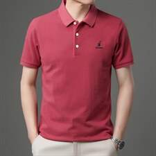 短袖t恤男士上衣2023夏季新款翻领休闲纯棉潮宽松纯色男装体恤衫图片