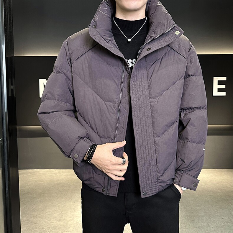 90%标白鸭绒 2025冬季立领休闲短款加厚羽绒服外套M8752-P290图片