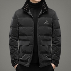 冬季新款中年男士白鸭绒立领羽绒服男爸爸冬装外套YL5908-P295，男装羽绒服，电商B212（原钱塘6029）