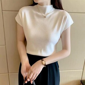 半高领飞机袖图片